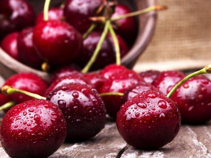 Вишня купить саженцы из питомника в Лесном